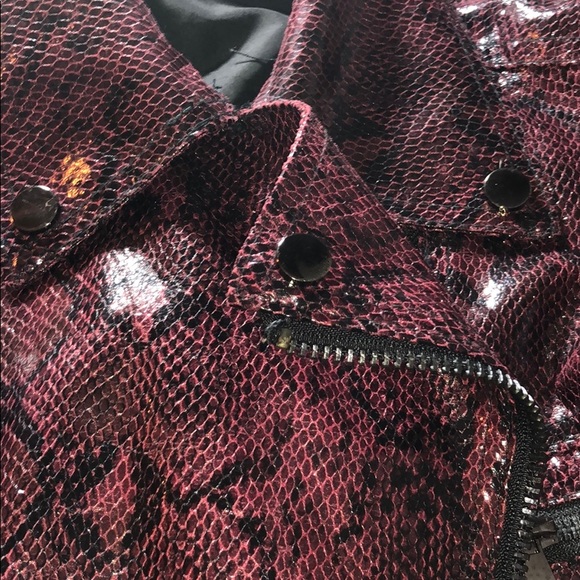 Burgundy Snakeskin Jacket - Picture 4 of 4